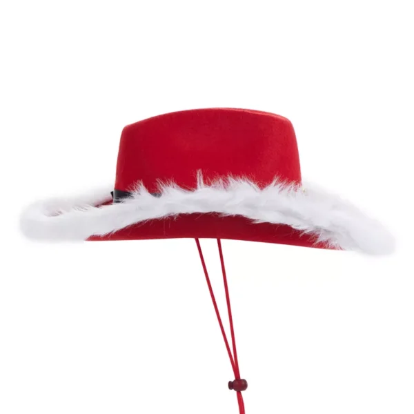Western Christmas Cowboy Hat for Women and Men - Image 5
