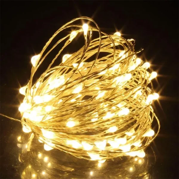 LED String Light Garland