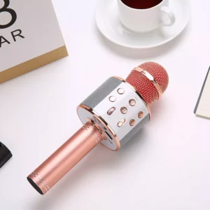 Wireless Handheld Karaoke Microphone with USB Speaker for Kids and Adults
