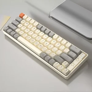65-Key Wireless Mechanical Gaming Keyboard