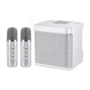 10W Wireless Portable Karaoke Boom Box with Dual Microphones