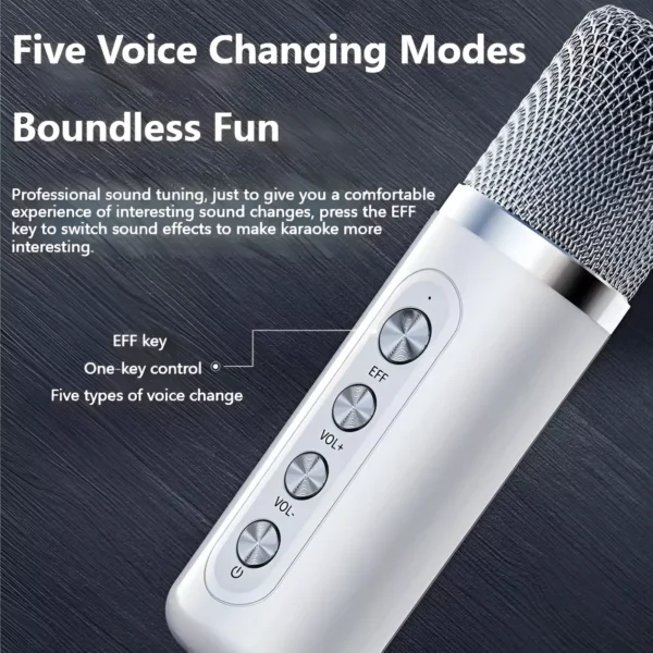 10W Wireless Portable Karaoke Boom Box with Dual Microphones - Image 3
