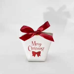 10pcs Mini Merry Christmas Candy Boxes with Clear Window Packaging